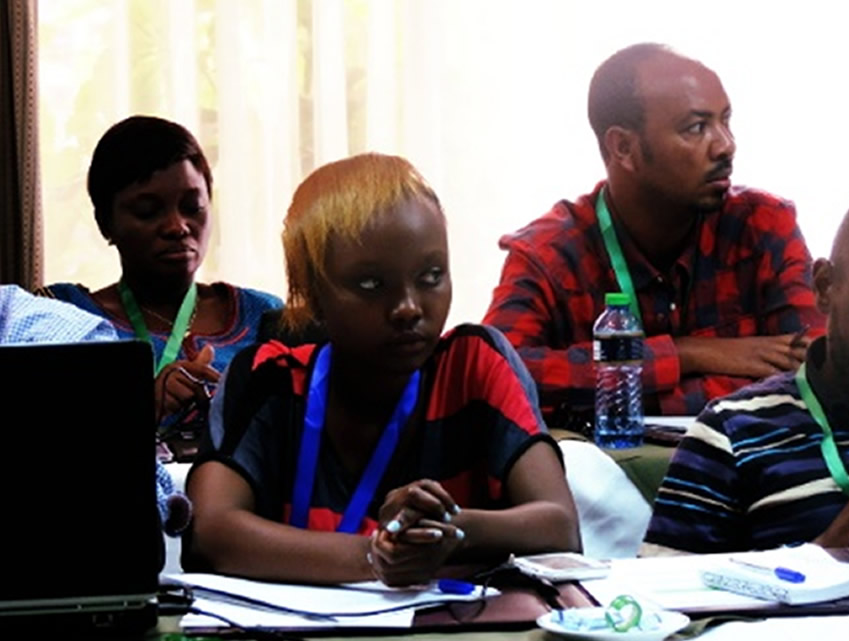 ECI Holds Capacity Building Workshop For African Journalists On MEAs